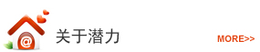 關于潛力